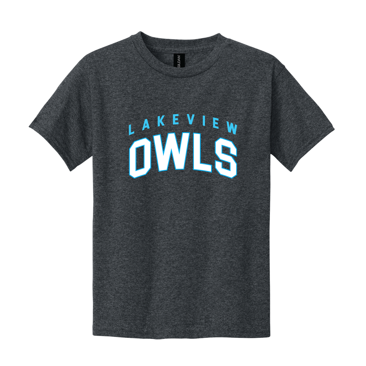 Lakeview Owls Design 1