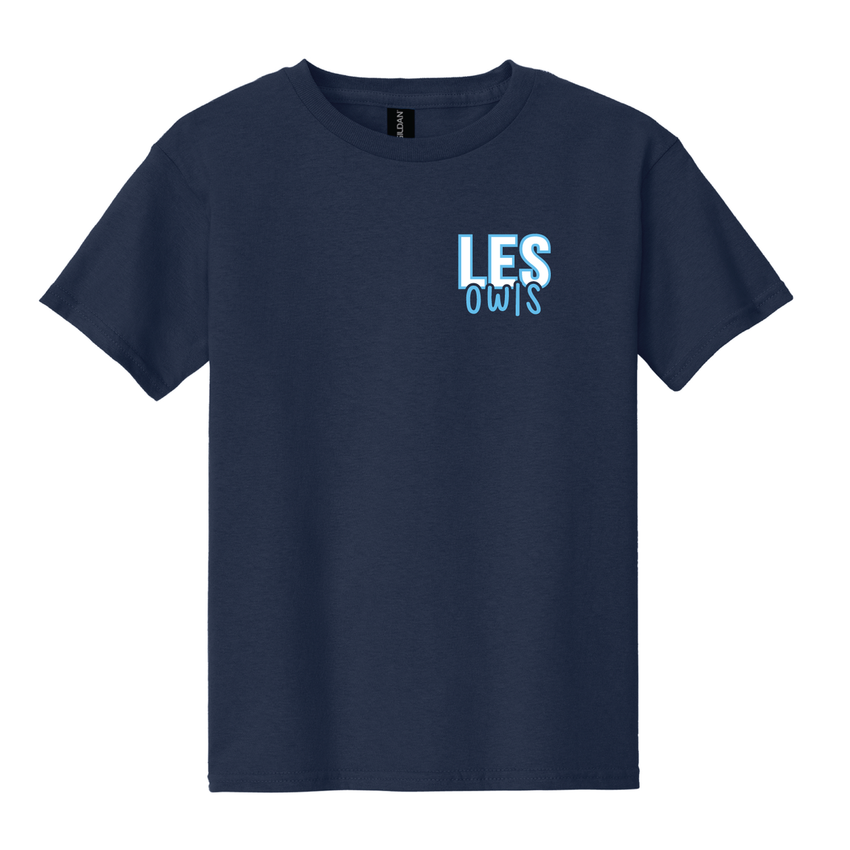 Lakeview Owls Design 2