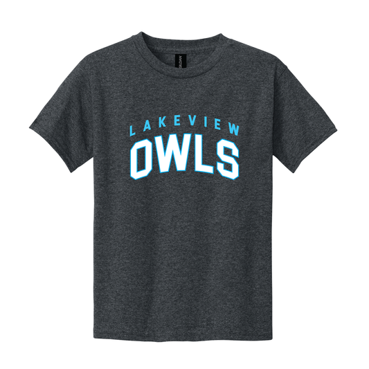 Lakeview Owls Design 1