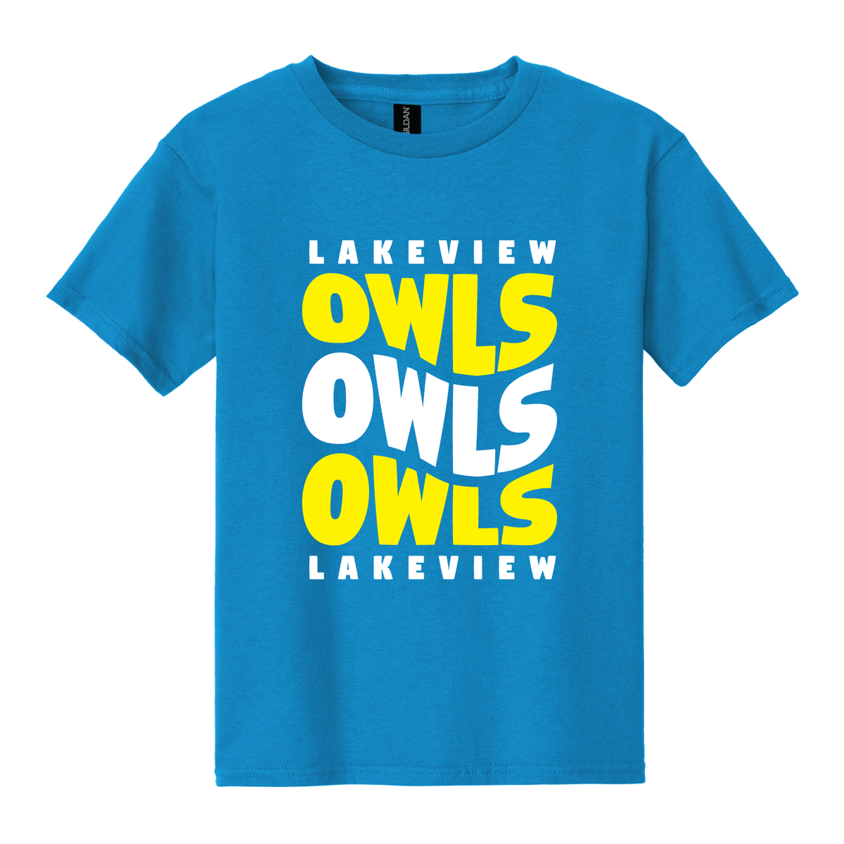 Lakeview Owls Design 6