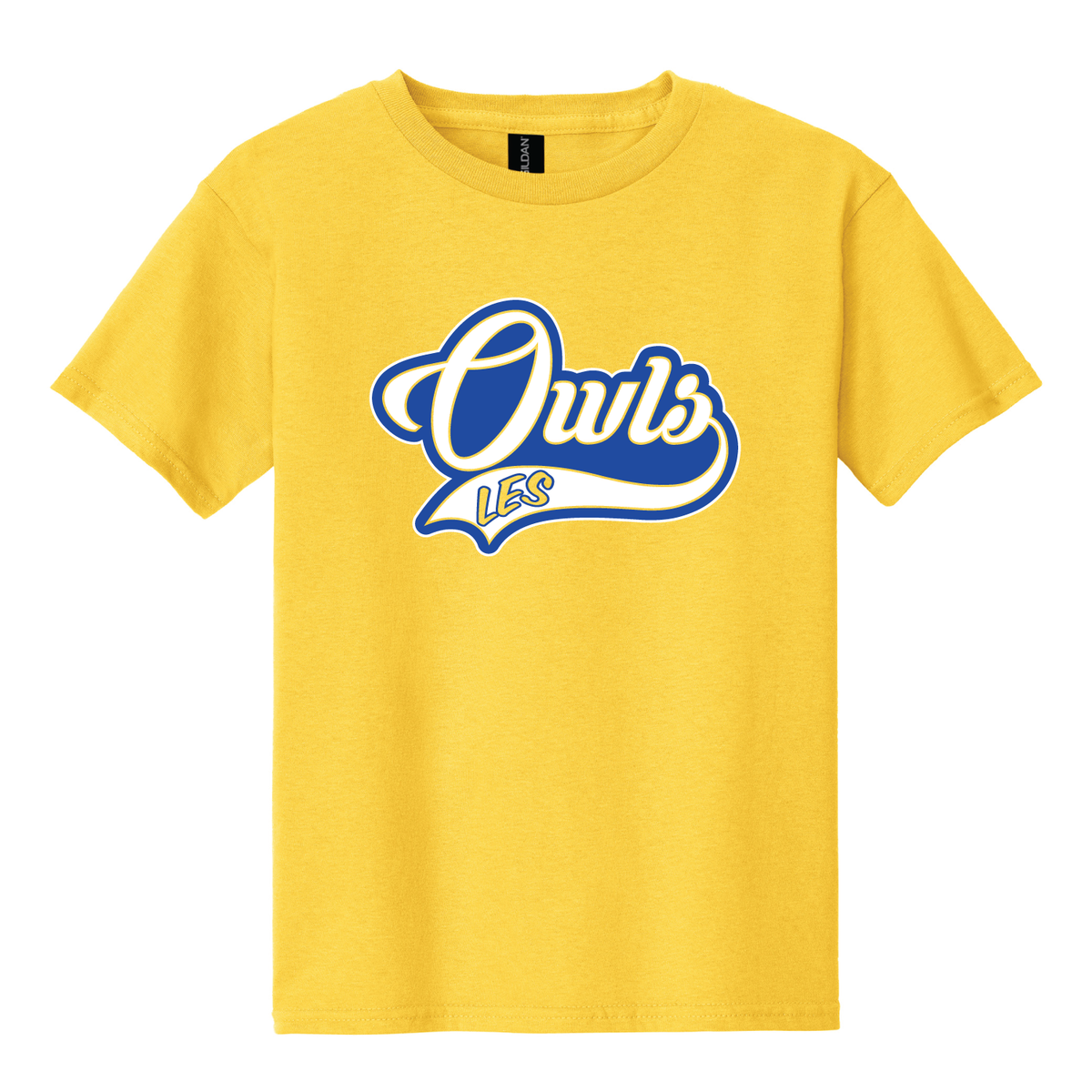 Lakeview Owls Design 4